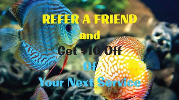 Carrier Aquarium & Terrarium Maintenance 2