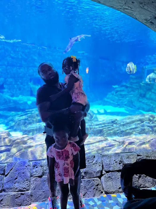Carrier Aquarium & Terrarium Maintenance 7