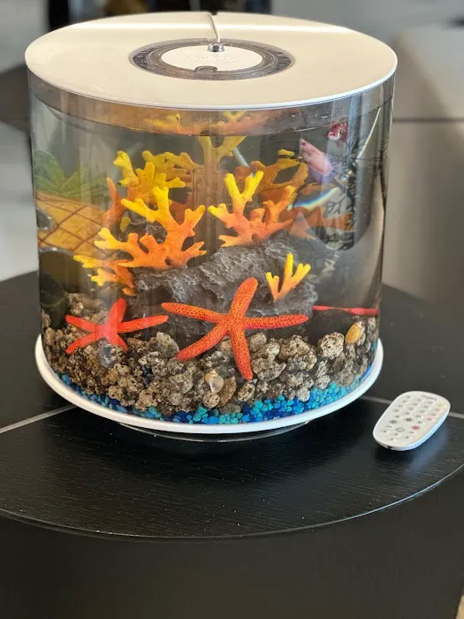 Carrier Aquarium & Terrarium Maintenance 3