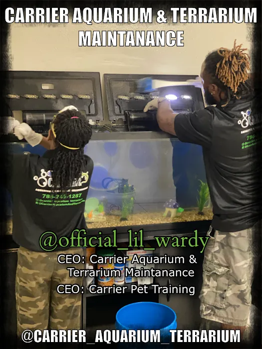 Carrier Aquarium & Terrarium Maintenance 10