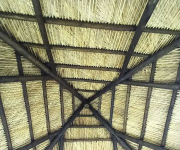 Avian Structures