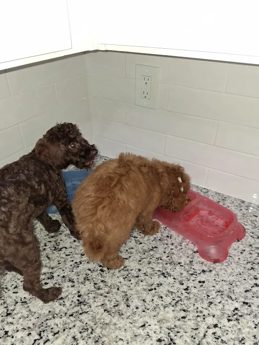 Banfield Pet Hospital 12