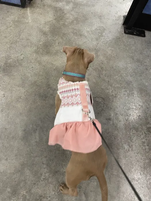 Banfield Pet Hospital 12