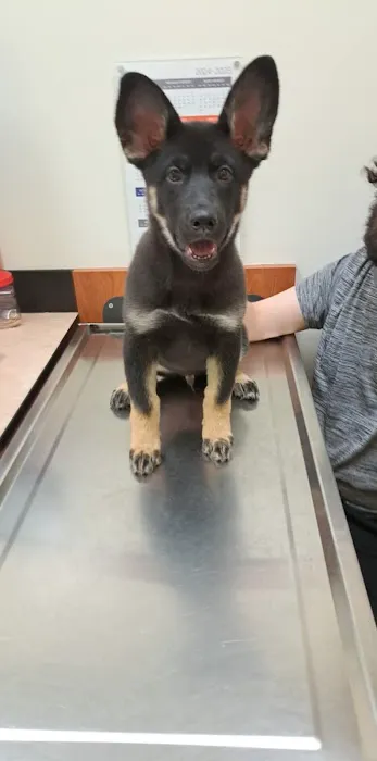 Banfield Pet Hospital 12
