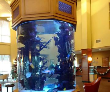Champion Aquariums