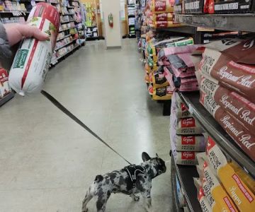 Petco