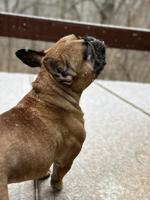 The Pet Wellness Group: Hebron 12
