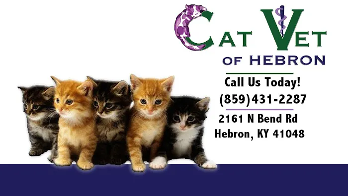 The Cat Vet of Hebron 12