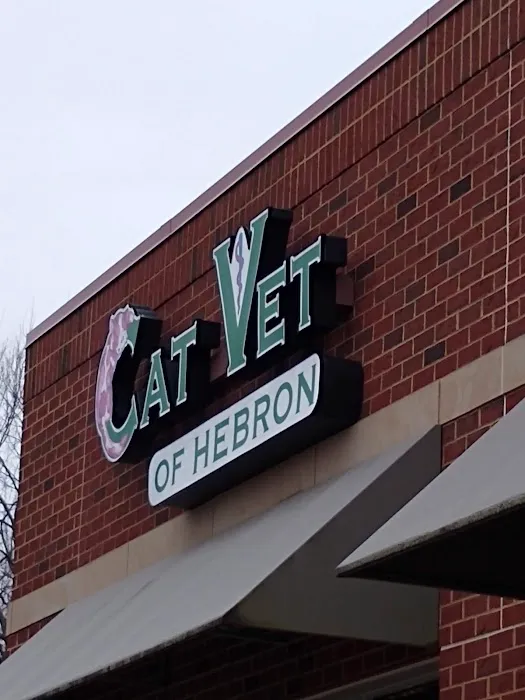 The Cat Vet of Hebron 12