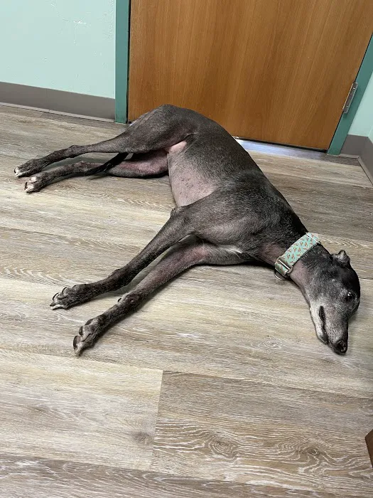 Hebron Animal Hospital 12