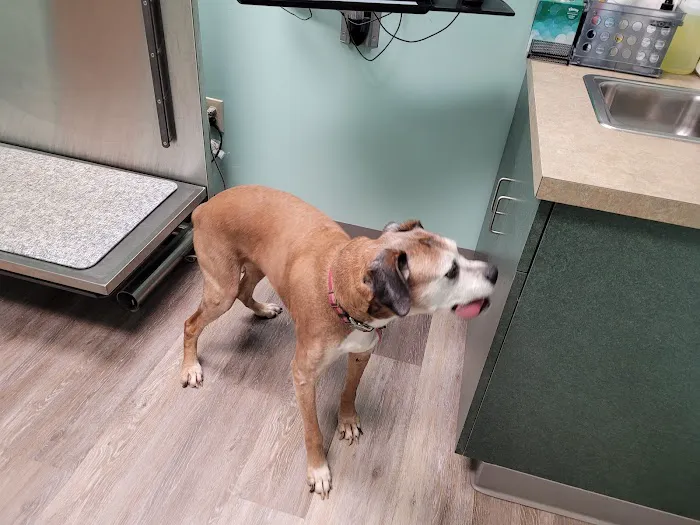Hebron Animal Hospital 12
