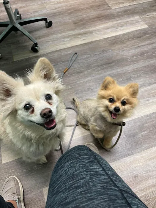Hebron Animal Hospital 12