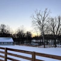 River Valley Equine Services ico