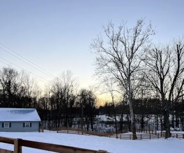 River Valley Equine Services