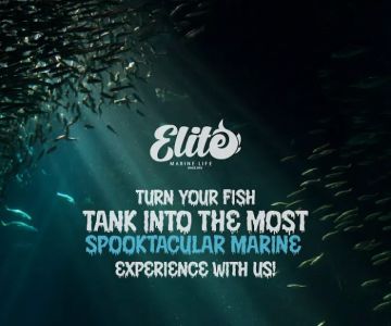 MarineLife by Captive Seas, formerly Elite MarineLife