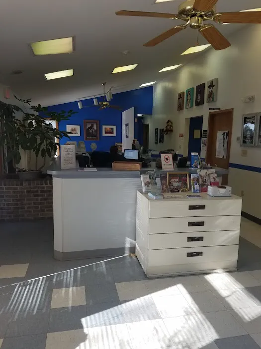 Burlington Pet Hospital 12