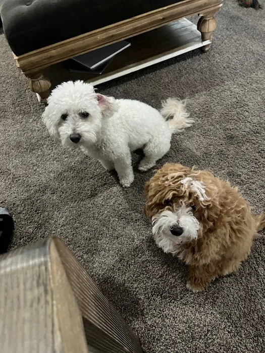 Tri Point Veterinary Clinic 12