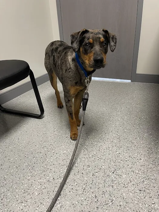 Tri Point Veterinary Clinic 12
