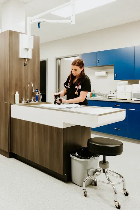Tri Point Veterinary Clinic 12