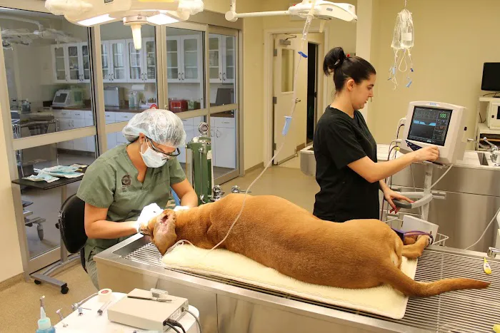 Union Pet Hospital 8
