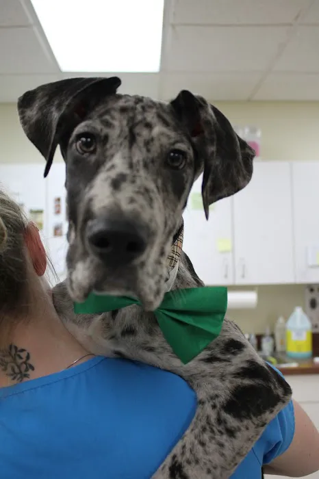 Union Pet Hospital 3