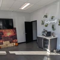 Union Pointe VetCare ico