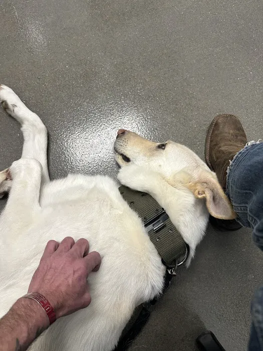 Union Pointe VetCare 12