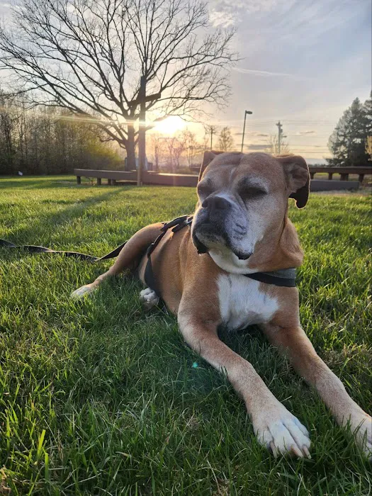 The Pet Wellness Group: Florence 12