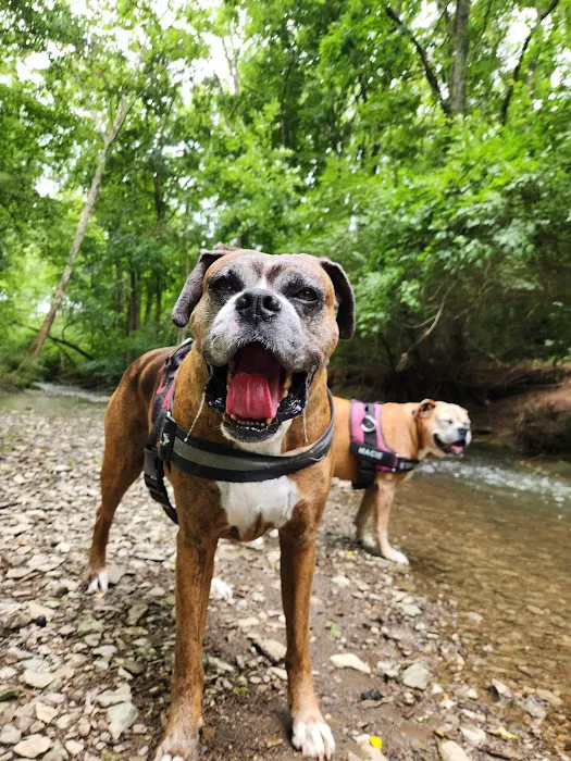 The Pet Wellness Group: Florence 12