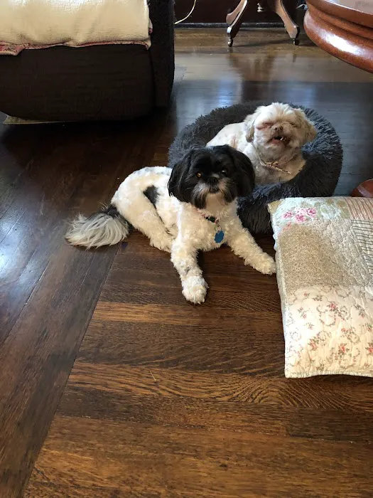 The Pet Wellness Group: Florence 12