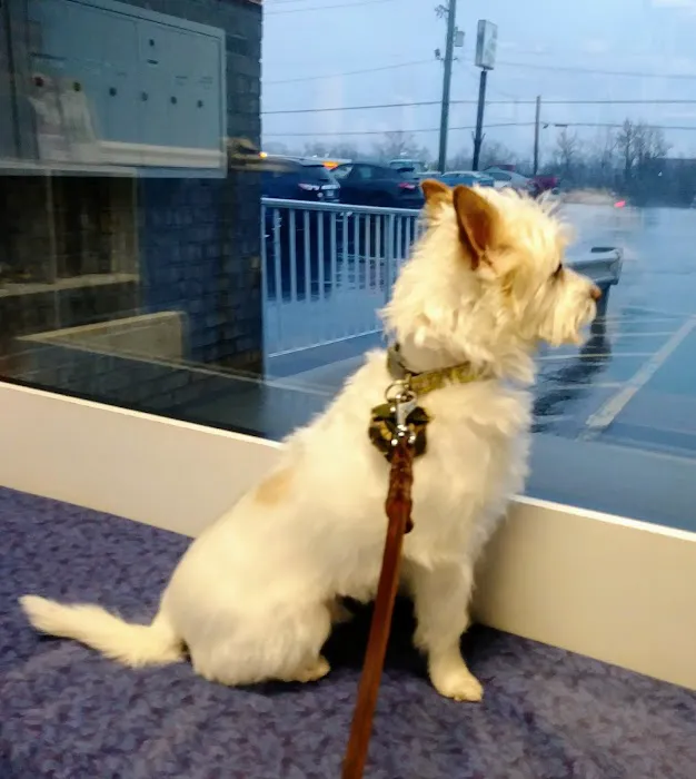 Oak Crest Animal Hospital 12