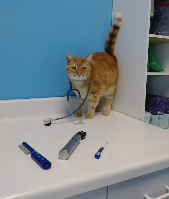 Oak Crest Animal Hospital 12