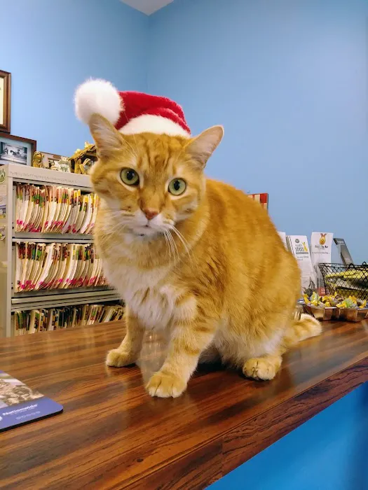 Oak Crest Animal Hospital 12