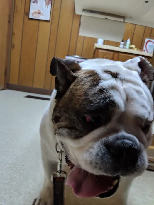 Monfort Heights Animal Clinic 12