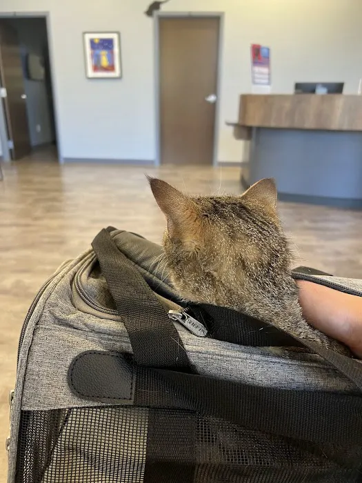 Monfort Heights Animal Clinic 12