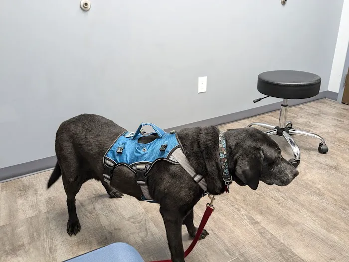 Monfort Heights Animal Clinic 12