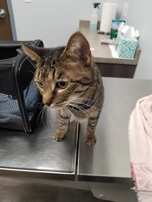 Monfort Heights Animal Clinic 12