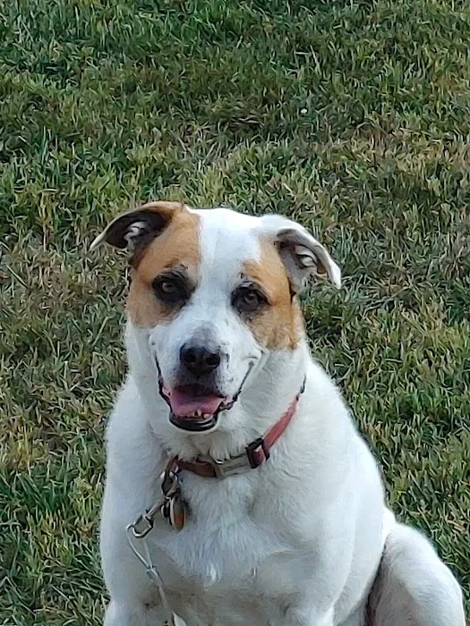 Glenway Animal Hospital 12