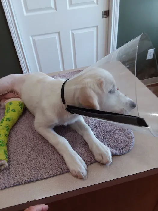 Orange County Animal Clinic 12