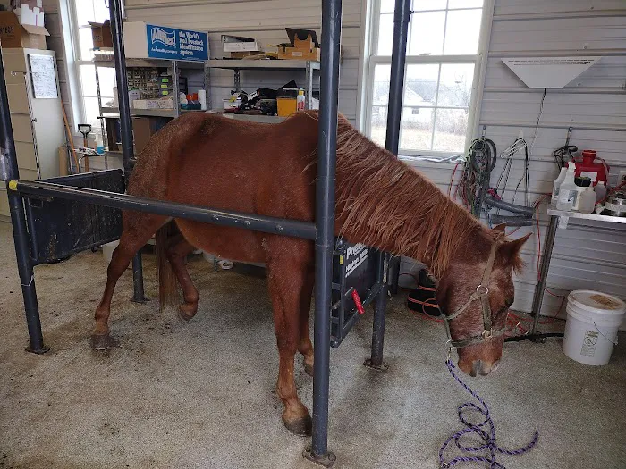 Orange County Animal Clinic 12