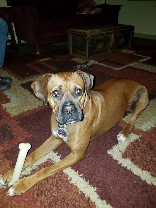 Orange County Animal Clinic 12