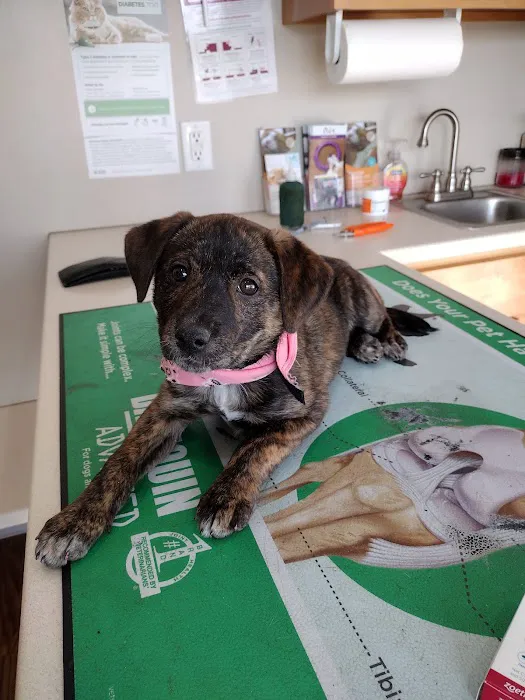 Orange County Animal Clinic 12