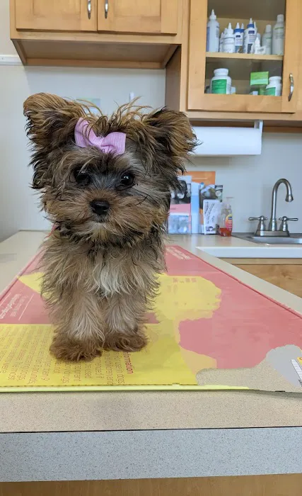 Orange County Animal Clinic 12