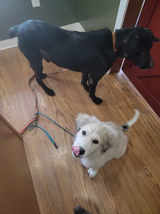 Orange County Animal Clinic 12