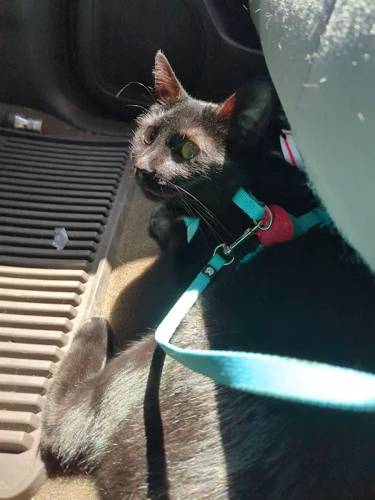 Spring Mill Veterinary Service 12