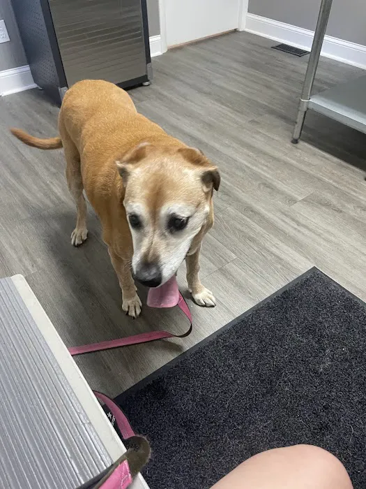 Smith Animal Clinic 12