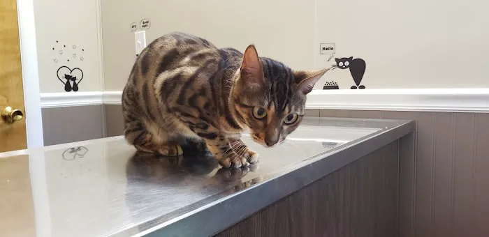 Smith Animal Clinic 12