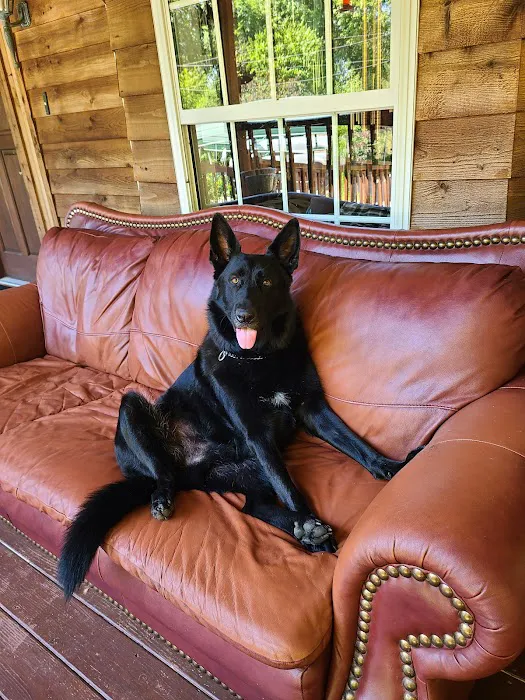 DownHome Veterinary Clinic, LLC 12