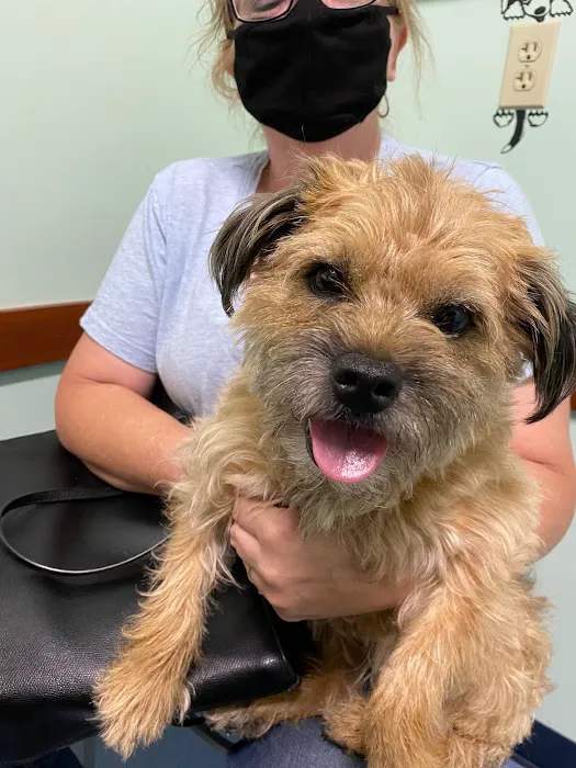 Care-Pets Animal Hospital & Wellness Center 4