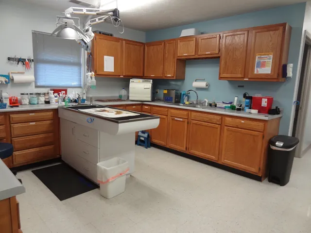 Access Veterinary Care 12